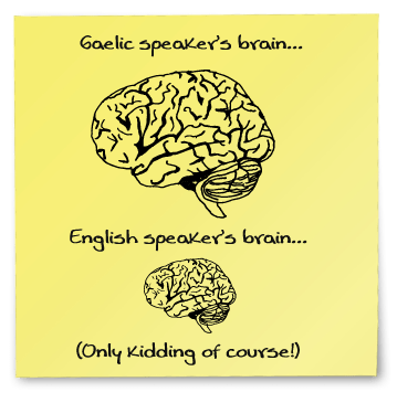 Image: Post it note with brain sizes