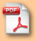 Icon : PDF
