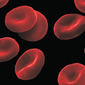 Image: Blood Cells